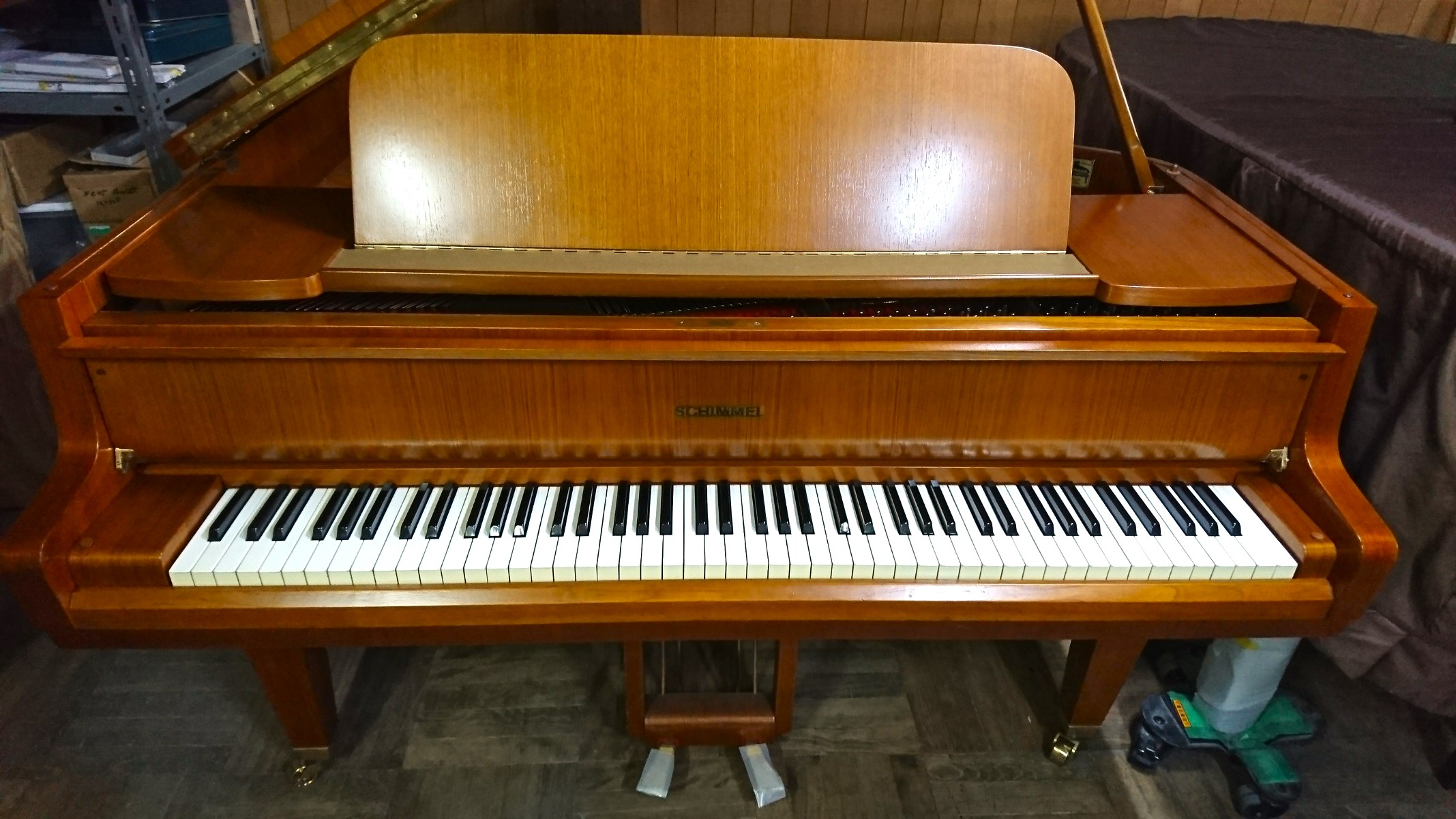 SCHIMMEL